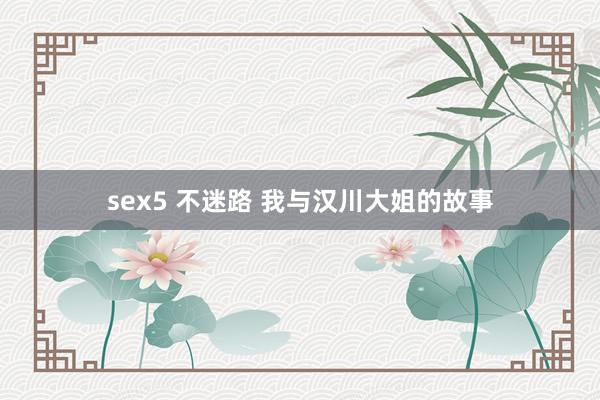 sex5 不迷路 我与汉川大姐的故事