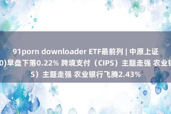 91porn downloader ETF最前列 | 中原上证50ETF(510050)早盘下落0.22% 跨境支付（CIPS）主题走强 农业银行飞腾2.43%