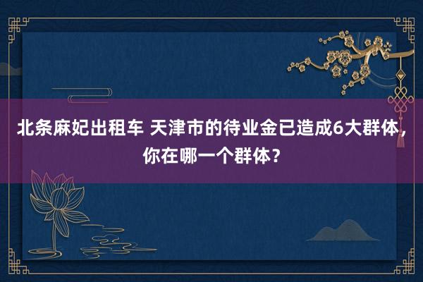 北条麻妃出租车 天津市的待业金已造成6大群体，你在哪一个群体？