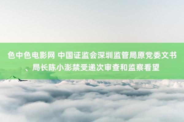 色中色电影网 中国证监会深圳监管局原党委文书、局长陈小澎禁受递次审查和监察看望