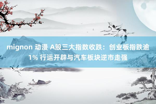 mignon 动漫 A股三大指数收跌：创业板指跌逾1% 行运开辟与汽车板块逆市走强