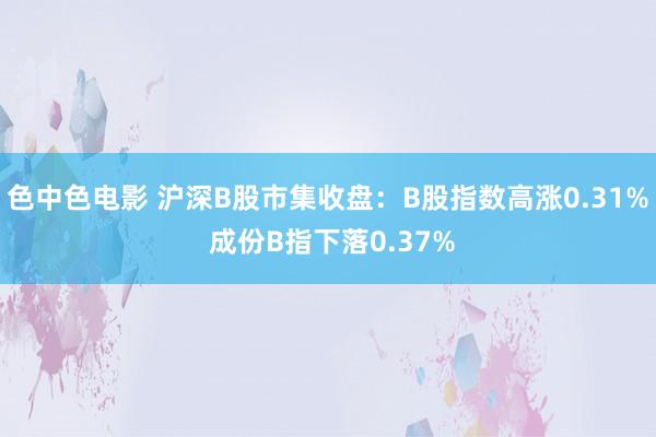 色中色电影 沪深B股市集收盘：B股指数高涨0.31% 成份B指下落0.37%