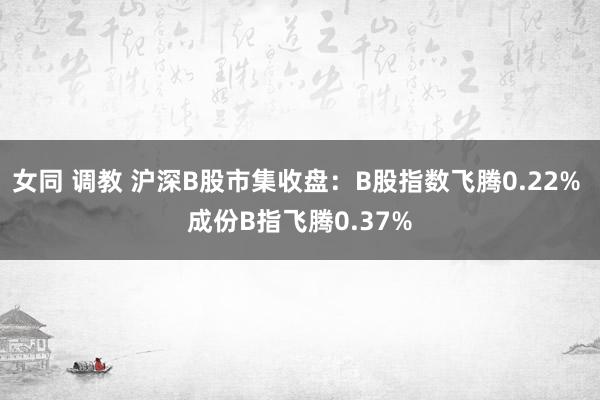 女同 调教 沪深B股市集收盘：B股指数飞腾0.22% 成份B指飞腾0.37%