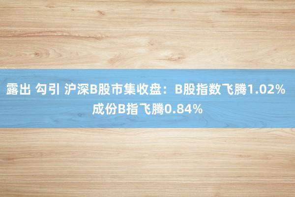 露出 勾引 沪深B股市集收盘：B股指数飞腾1.02% 成份B指飞腾0.84%