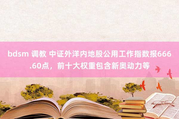 bdsm 调教 中证外洋内地股公用工作指数报666.60点，前十大权重包含新奥动力等