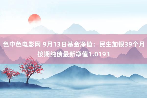 色中色电影网 9月13日基金净值：民生加银39个月按期纯债最新净值1.0193