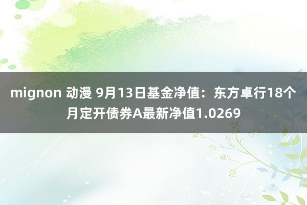 mignon 动漫 9月13日基金净值：东方卓行18个月定开债券A最新净值1.0269