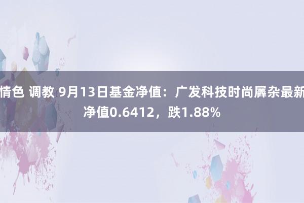 情色 调教 9月13日基金净值：广发科技时尚羼杂最新净值0.6412，跌1.88%