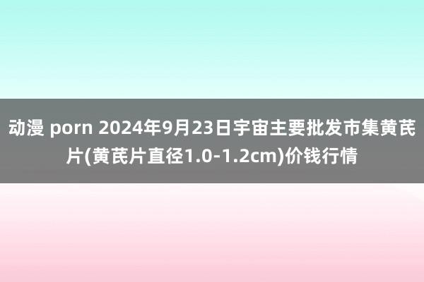 动漫 porn 2024年9月23日宇宙主要批发市集黄芪片(黄芪片直径1.0-1.2cm)价钱行情