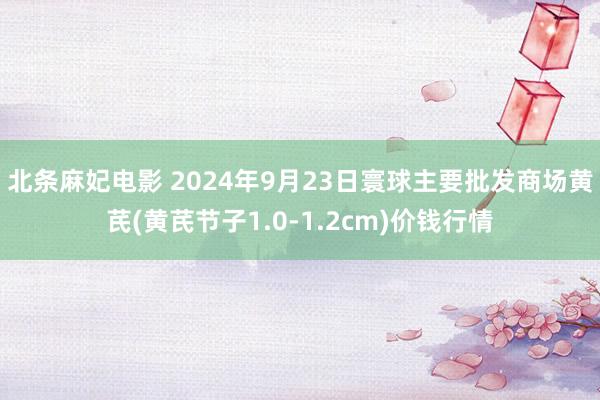 北条麻妃电影 2024年9月23日寰球主要批发商场黄芪(黄芪节子1.0-1.2cm)价钱行情