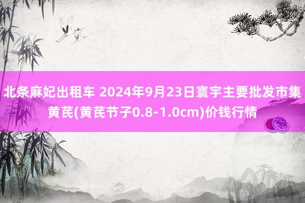 北条麻妃出租车 2024年9月23日寰宇主要批发市集黄芪(黄芪节子0.8-1.0cm)价钱行情