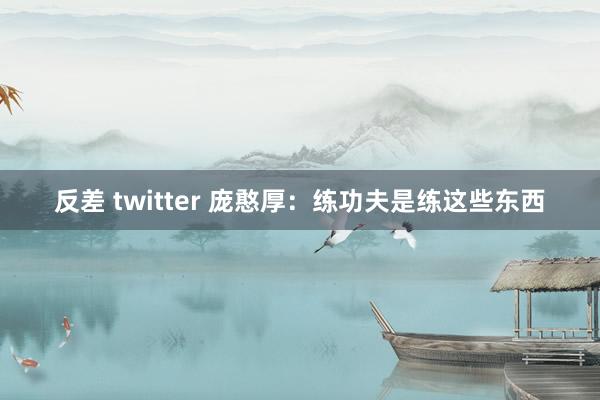 反差 twitter 庞憨厚：练功夫是练这些东西