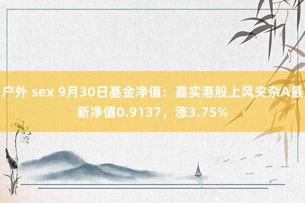 户外 sex 9月30日基金净值：嘉实港股上风夹杂A最新净值0.9137，涨3.75%