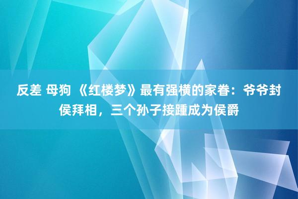 反差 母狗 《红楼梦》最有强横的家眷：爷爷封侯拜相，三个孙子接踵成为侯爵