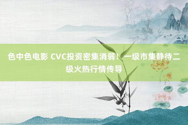 色中色电影 CVC投资密集消弱！一级市集静待二级火热行情传导