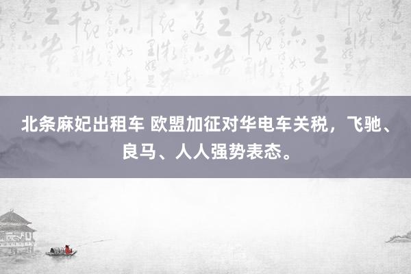 北条麻妃出租车 欧盟加征对华电车关税，飞驰、良马、人人强势表态。