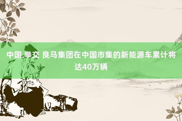 中国 拳交 良马集团在中国市集的新能源车累计将达40万辆