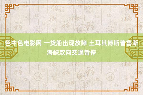 色中色电影网 一货船出现故障 土耳其博斯普鲁斯海峡双向交通暂停