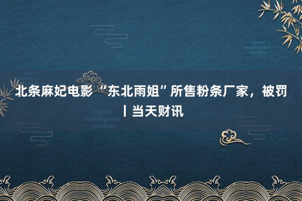 北条麻妃电影 “东北雨姐”所售粉条厂家，被罚丨当天财讯