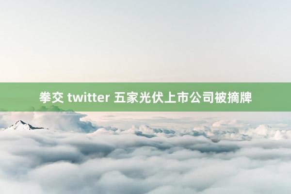 拳交 twitter 五家光伏上市公司被摘牌