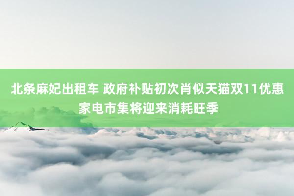 北条麻妃出租车 政府补贴初次肖似天猫双11优惠 家电市集将迎来消耗旺季