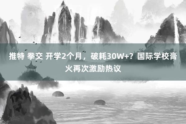 推特 拳交 开学2个月，破耗30W+？国际学校膏火再次激励热议