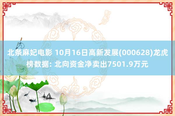 北条麻妃电影 10月16日高新发展(000628)龙虎榜数据: 北向资金净卖出7501.9万元