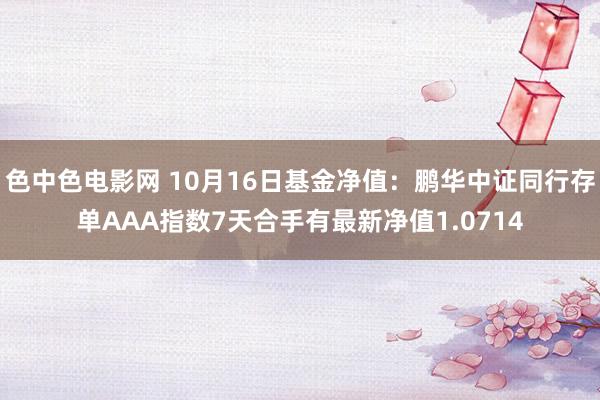 色中色电影网 10月16日基金净值：鹏华中证同行存单AAA指数7天合手有最新净值1.0714