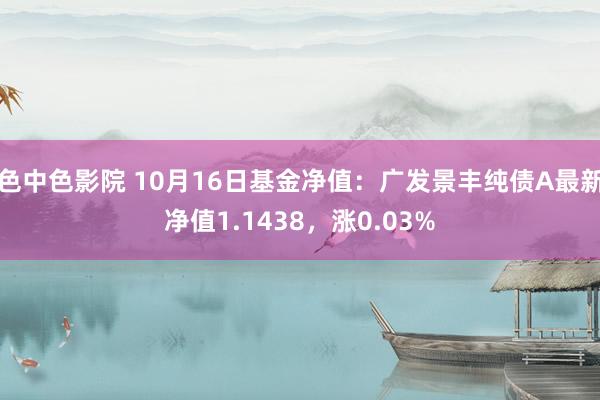 色中色影院 10月16日基金净值：广发景丰纯债A最新净值1.1438，涨0.03%