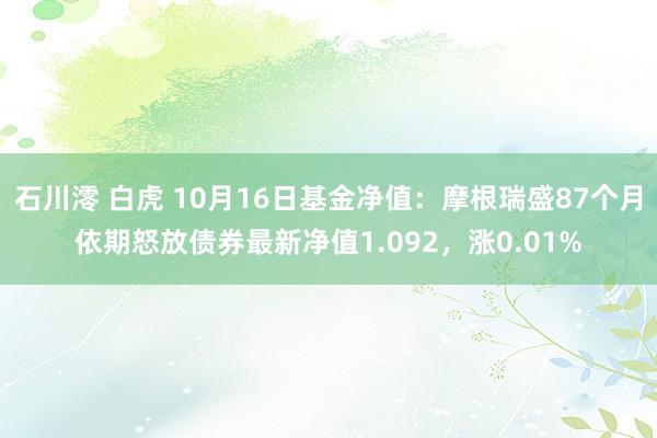 石川澪 白虎 10月16日基金净值：摩根瑞盛87个月依期怒放债券最新净值1.092，涨0.01%