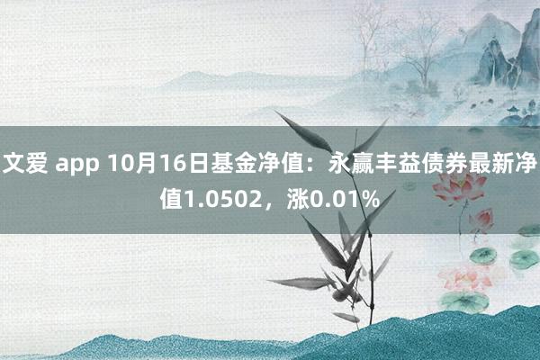 文爱 app 10月16日基金净值：永赢丰益债券最新净值1.0502，涨0.01%