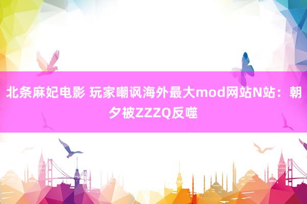 北条麻妃电影 玩家嘲讽海外最大mod网站N站：朝夕被ZZZQ反噬