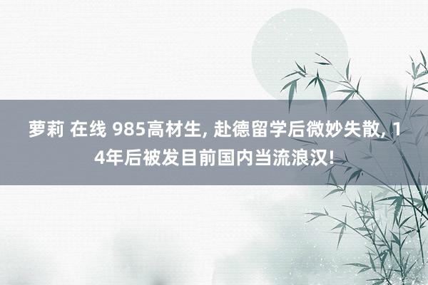 萝莉 在线 985高材生， 赴德留学后微妙失散， 14年后被发目前国内当流浪汉!