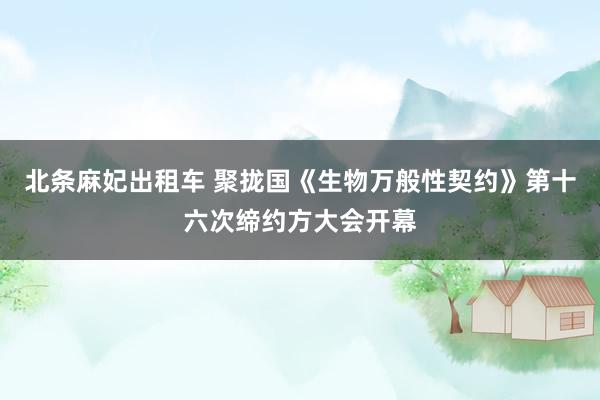 北条麻妃出租车 聚拢国《生物万般性契约》第十六次缔约方大会开幕