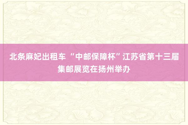 北条麻妃出租车 “中邮保障杯”江苏省第十三届集邮展览在扬州举办