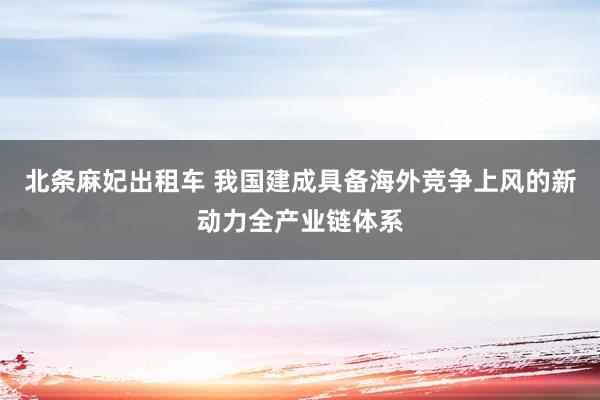 北条麻妃出租车 我国建成具备海外竞争上风的新动力全产业链体系