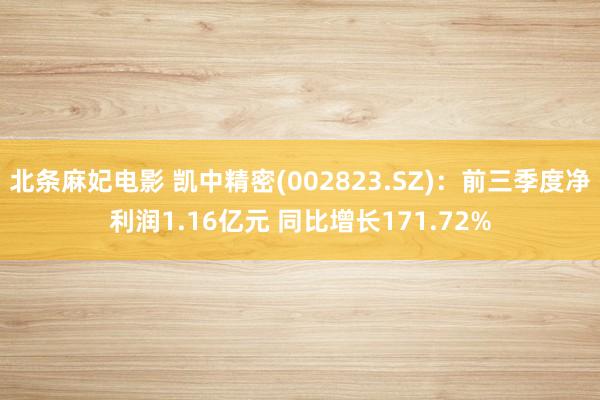 北条麻妃电影 凯中精密(002823.SZ)：前三季度净利润1.16亿元 同比增长171.72%