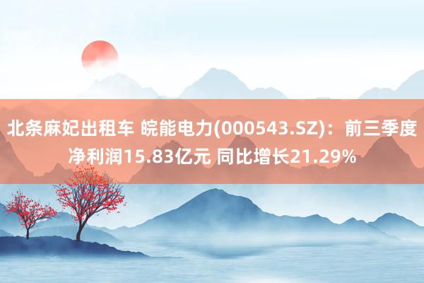 北条麻妃出租车 皖能电力(000543.SZ)：前三季度净利润15.83亿元 同比增长21.29%