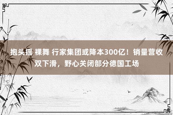 抱头摇 裸舞 行家集团或降本300亿！销量营收双下滑，野心关闭部分德国工场