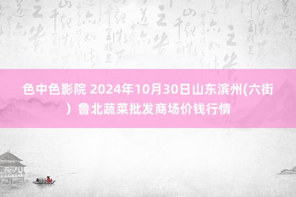 色中色影院 2024年10月30日山东滨州(六街）鲁北蔬菜批发商场价钱行情