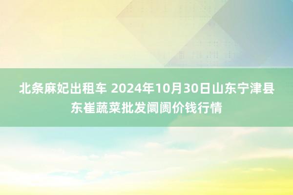 北条麻妃出租车 2024年10月30日山东宁津县东崔蔬菜批发阛阓价钱行情