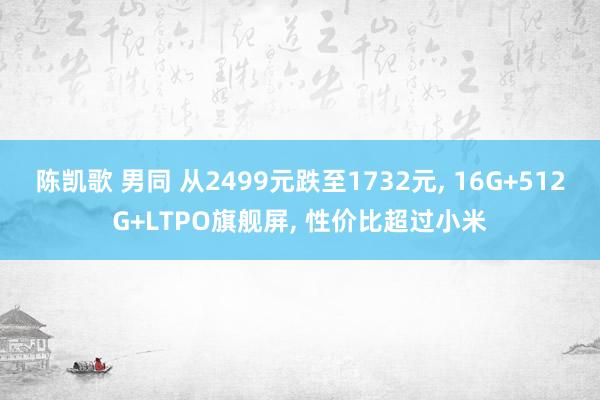 陈凯歌 男同 从2499元跌至1732元， 16G+512G+LTPO旗舰屏， 性价比超过小米