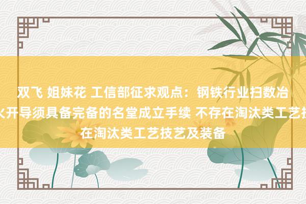 双飞 姐妹花 工信部征求观点：钢铁行业扫数冶真金不怕火开导须具备完备的名堂成立手续 不存在淘汰类工艺技艺及装备