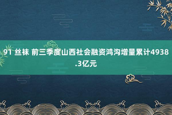 91 丝袜 前三季度山西社会融资鸿沟增量累计4938.3亿元