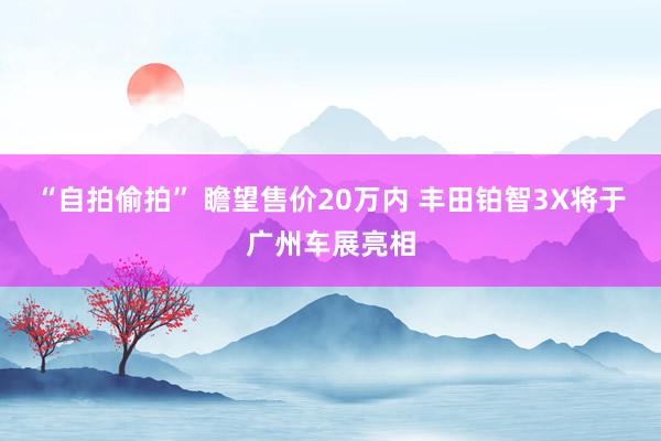 “自拍偷拍” 瞻望售价20万内 丰田铂智3X将于广州车展亮相