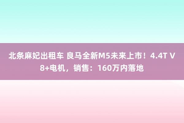 北条麻妃出租车 良马全新M5未来上市！4.4T V8+电机，销售：160万内落地