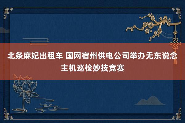 北条麻妃出租车 国网宿州供电公司举办无东说念主机巡检妙技竞赛