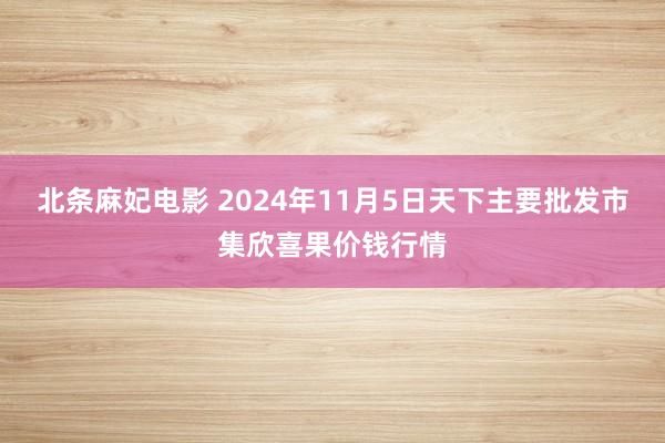 北条麻妃电影 2024年11月5日天下主要批发市集欣喜果价钱行情