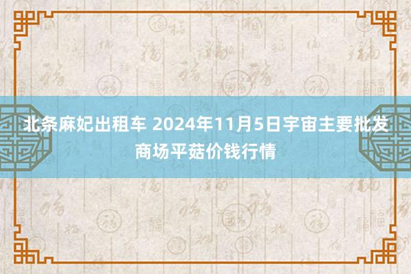 北条麻妃出租车 2024年11月5日宇宙主要批发商场平菇价钱行情