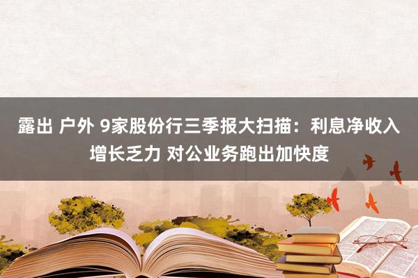 露出 户外 9家股份行三季报大扫描：利息净收入增长乏力 对公业务跑出加快度